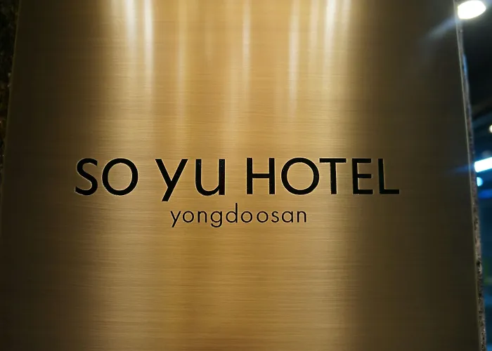 酒店 Soyu 2*