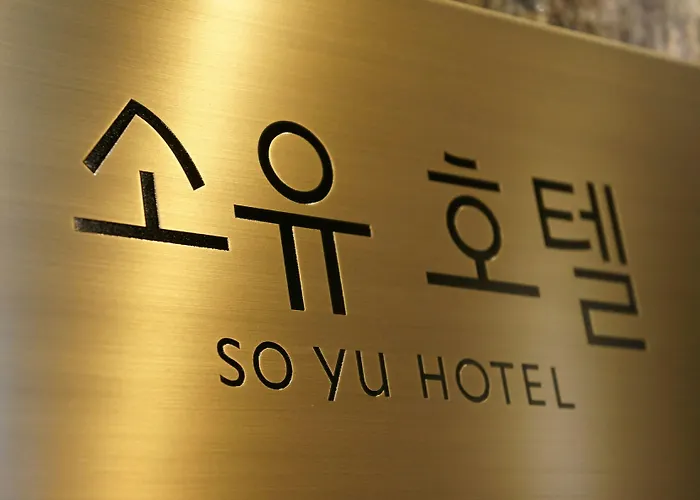 Soyu 酒店